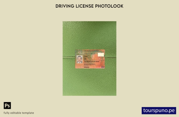listo para imprimir plantilla frontal de aspecto fotográfico del permiso de c 11